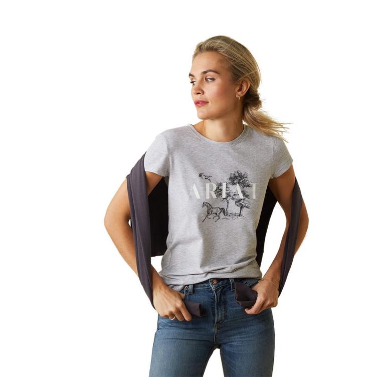 Ariat Shirt Toile Scene-viridian grey