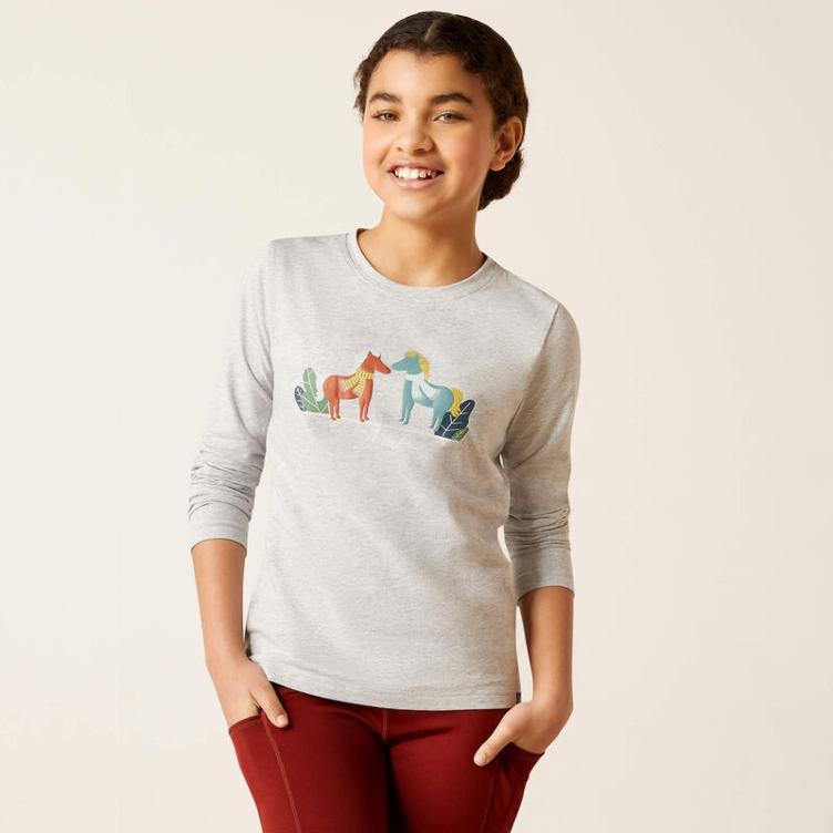 Ariat Youth Langarmshirt Winter Fashion-heather grey