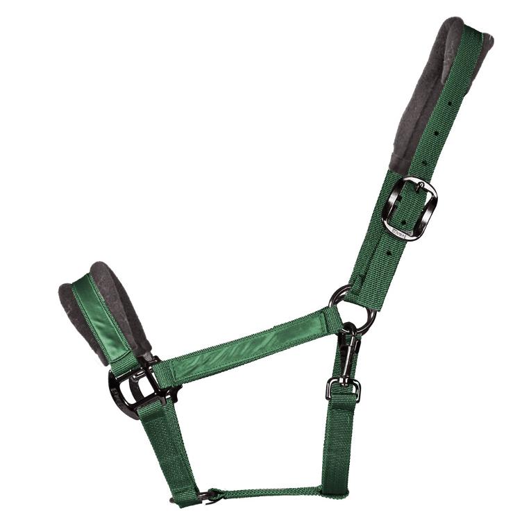 Equest Halfter Uno Protect Shine EQ Globe - bottle green