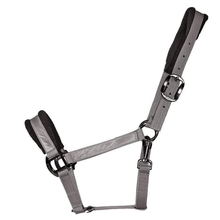 Equest Halfter Uno Protect Shine EQ Globe - grey