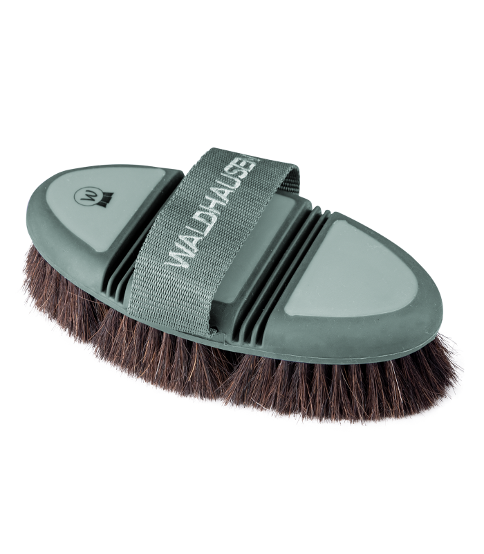 Waldhausen Flex Kardätsche Rosshaar-mistel