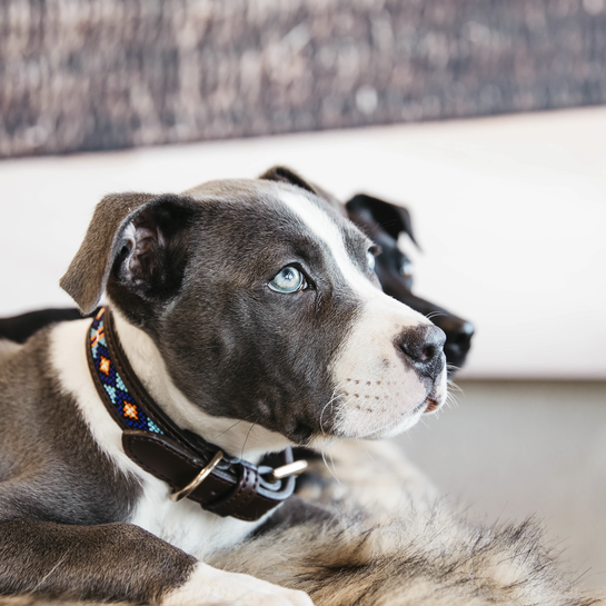 Halsband Pearls handgemacht-blau - 1