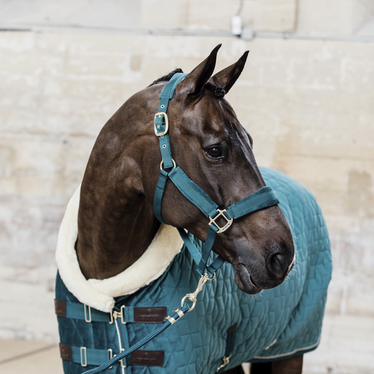 Kentucky Halfter Velvet-emerald - 0