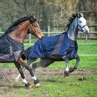 Equest Outdoordecke Nova Scotia 600 D 300g-navy - 0