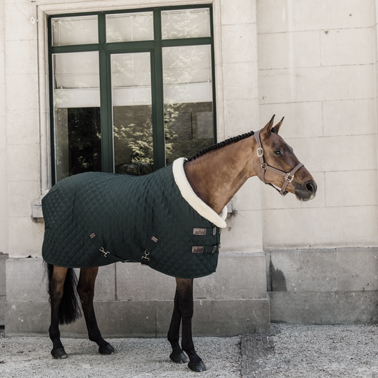 Kentucky Showrug 160gr-dark green - 1