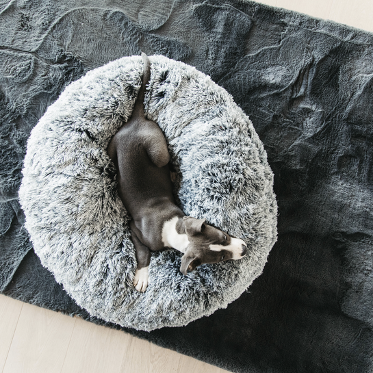 Hundebett Donut S 55cm-grau - 0