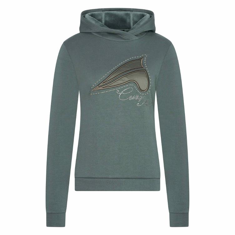 Eurostar Hoodie Liana-dark castor