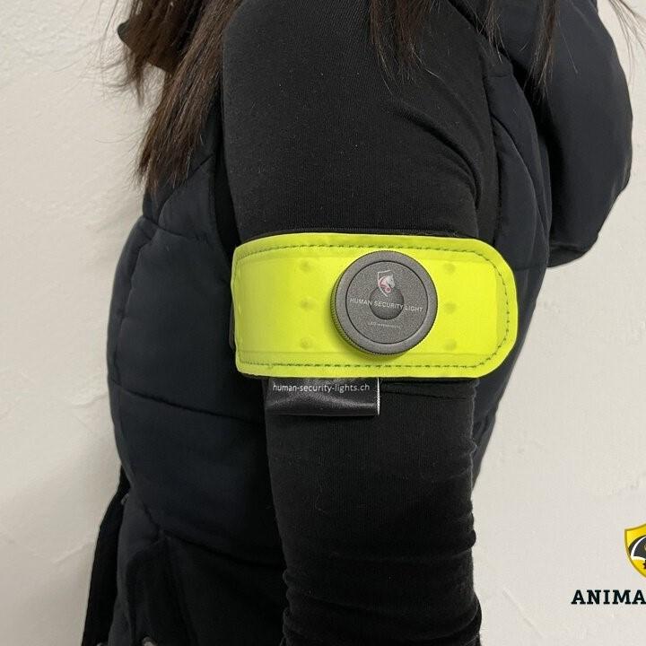 Animal Light Leucht-Armbinde Flex-gelb