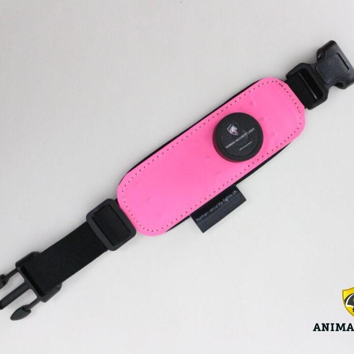 Animal Light Leucht-Armbinde Flex-pink