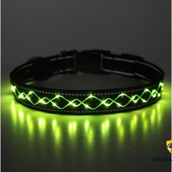Animal Light Leucht-Halsband Finia 2.1-grün