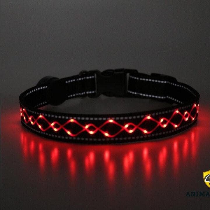 Animal Light Leucht-Halsband Finia 2.1-rot