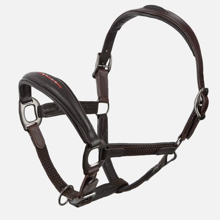Animo Lederhalfter Utility-marrone