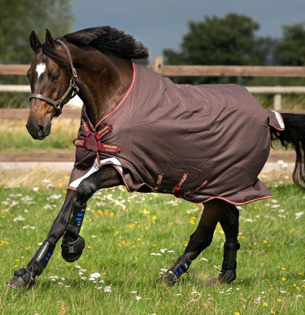 Horseware Amigo Bravo 12T 0gr.-brown