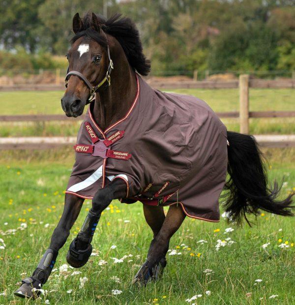 Horseware Amigo Bravo 12T 0gr.-brown - 0