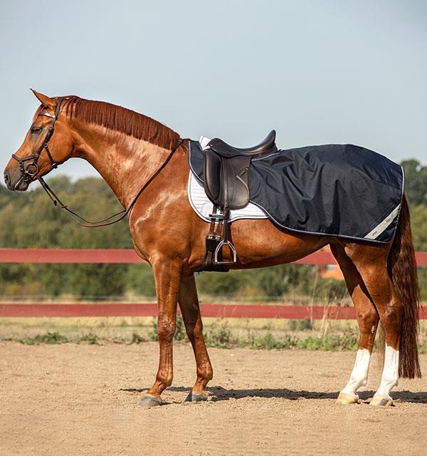 Horseware Ausreitdecke Amigo Ripstop-navy