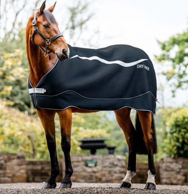 Horseware Dry Liner-navy