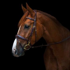 Utzon Zaum Belmond-darkbrown